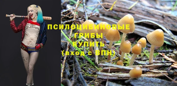 сатива Баксан