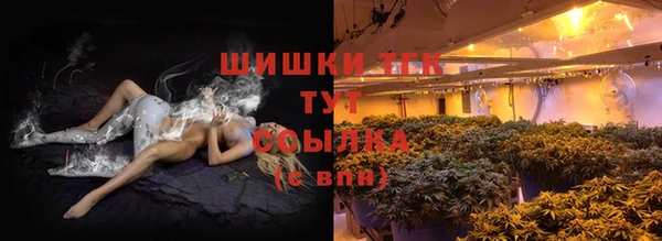 сатива Баксан