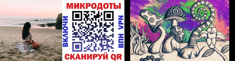 Псилоцибиновые грибы мухоморы  где найти наркотики  Белокуриха 